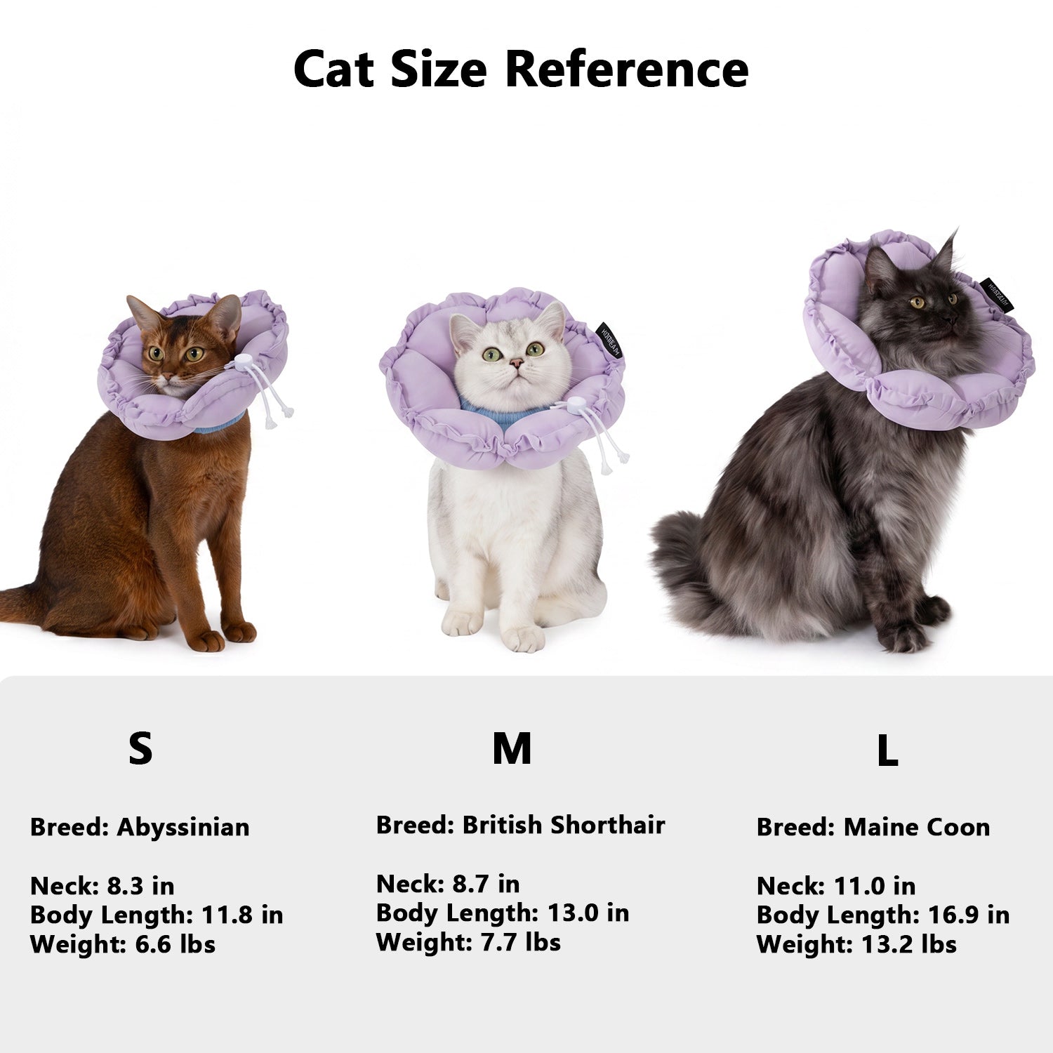 Enhanced Flower Pet Recovery Collar