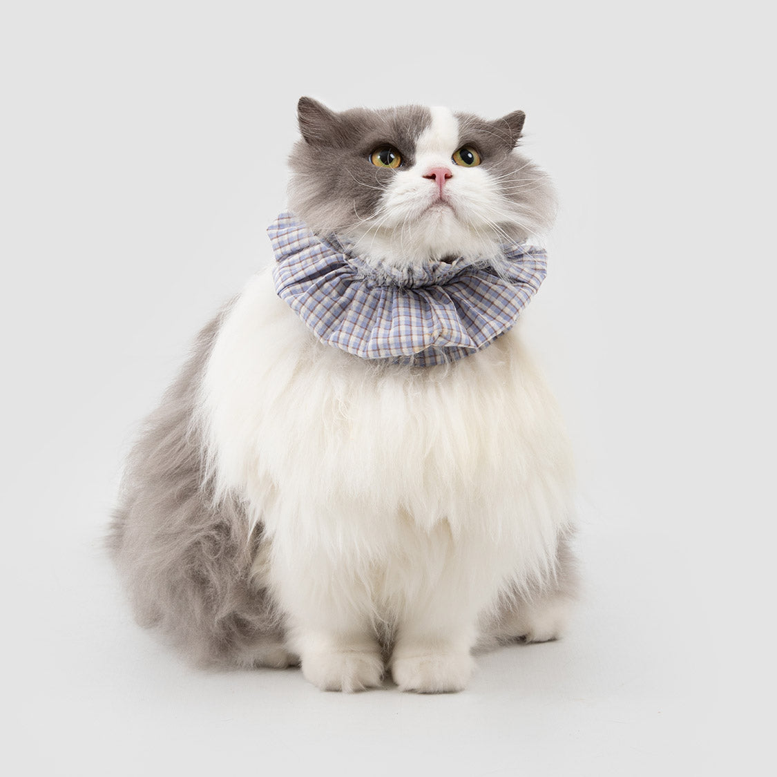 Pet Mealtime Neck Covers – 2 Pack