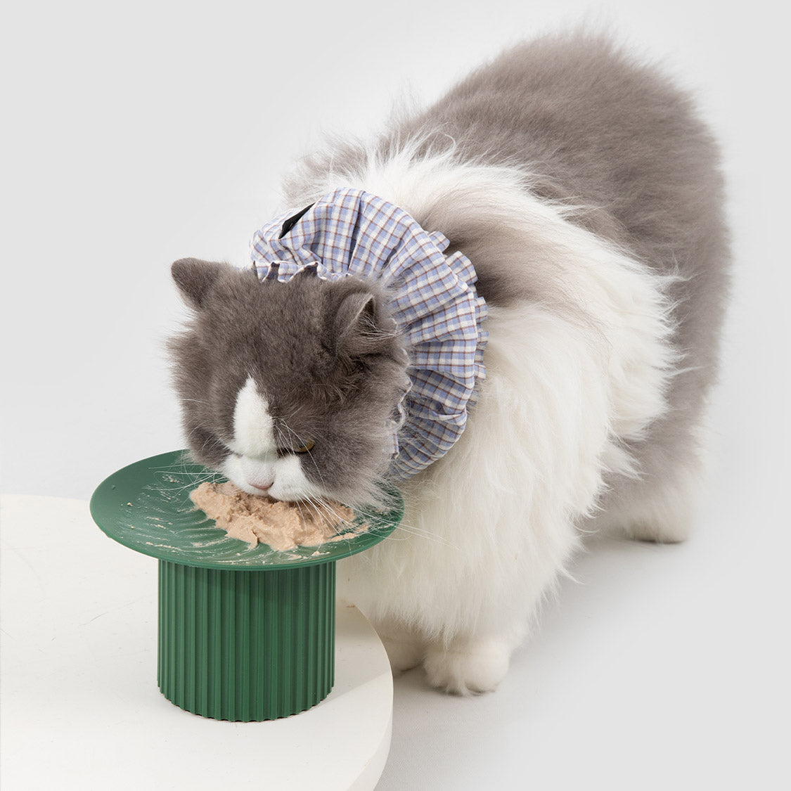 Pet Mealtime Neck Covers – 2 Pack