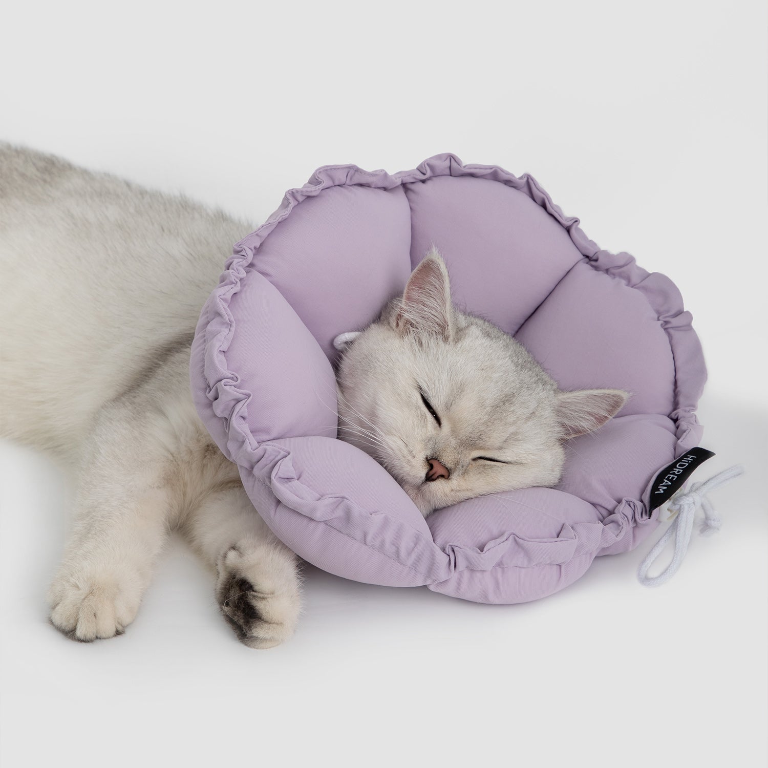 Enhanced Flower Pet Recovery Collar