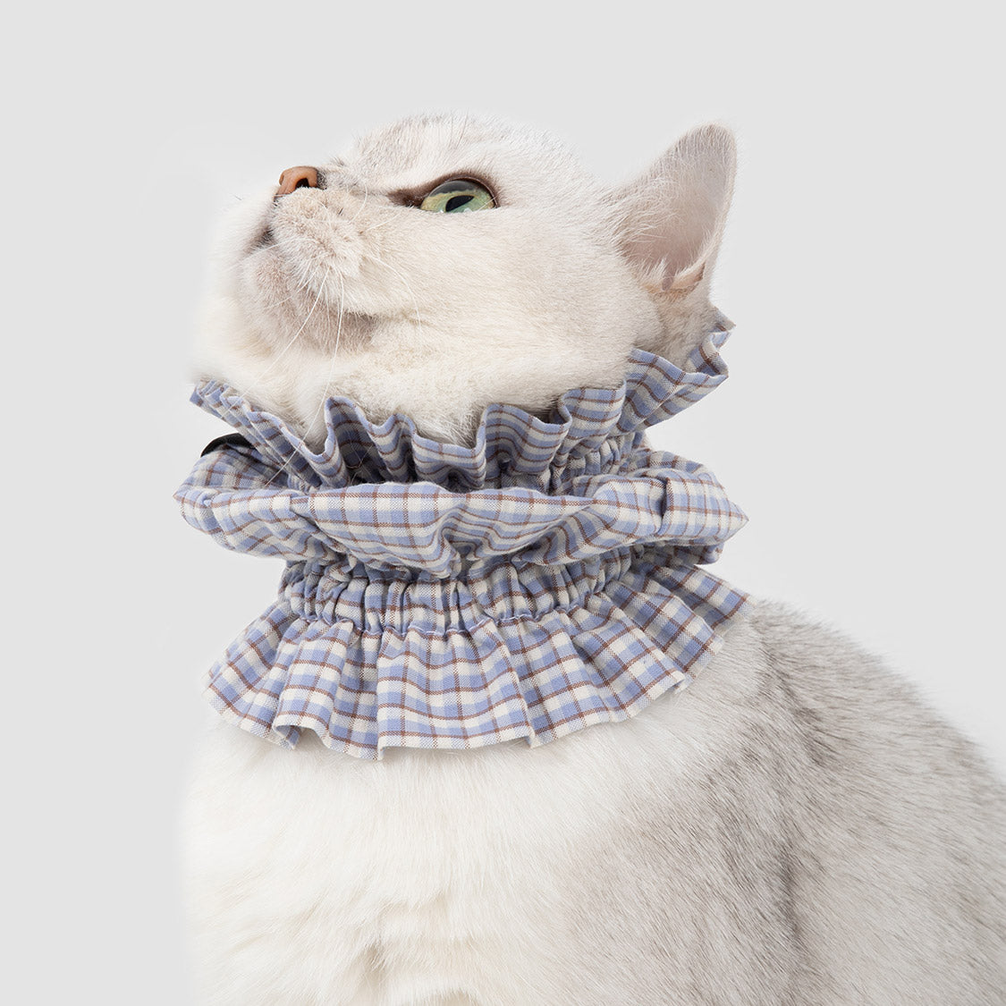 Pet Mealtime Neck Covers – 2 Pack