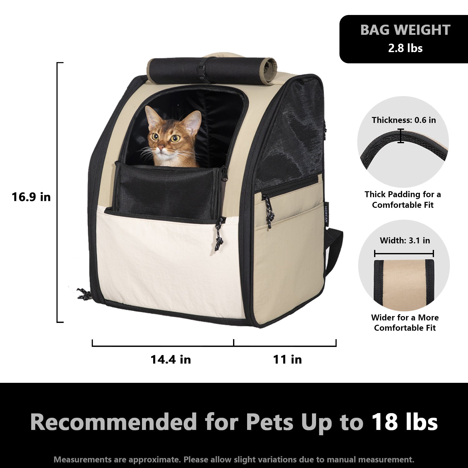 Pet carrier with a cat inside, showing dimensions and features on a white background
