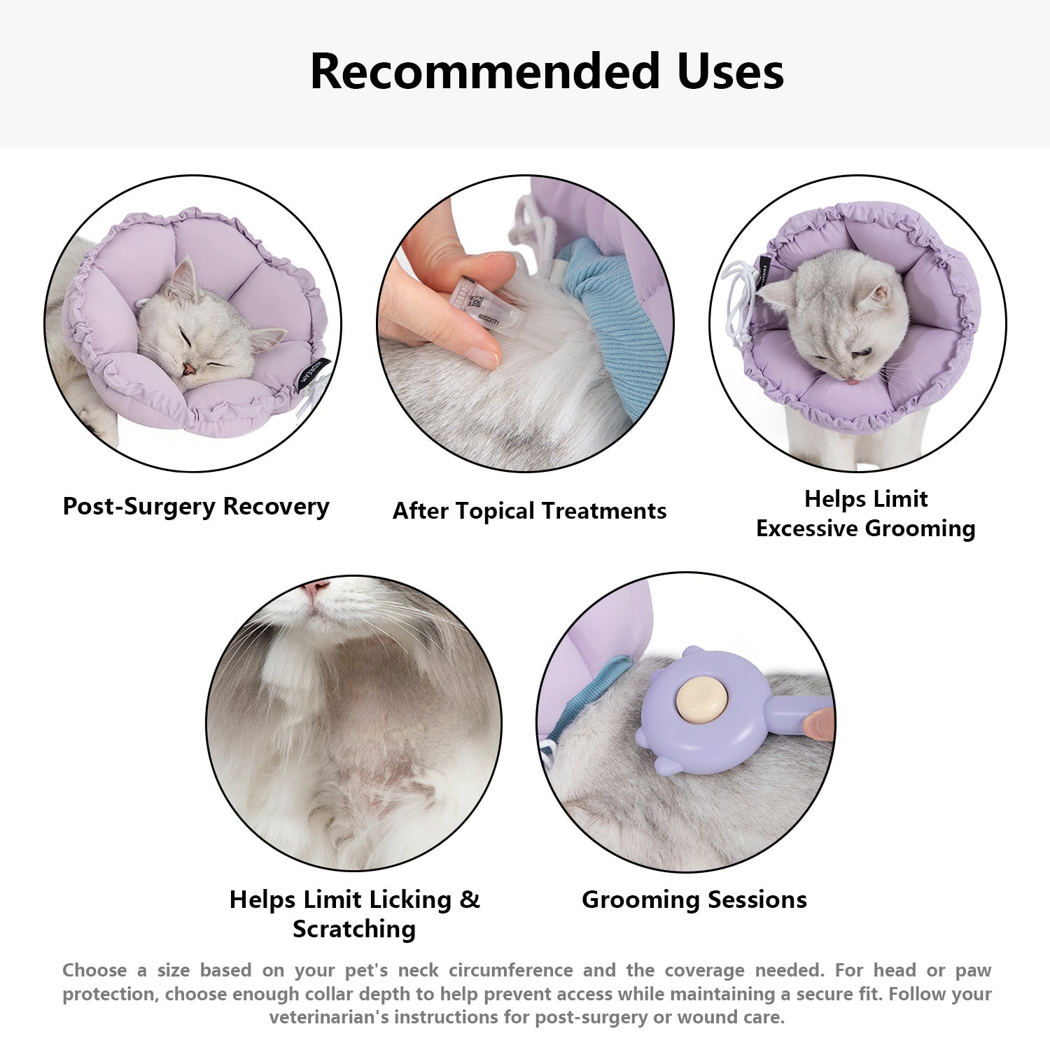 Enhanced Flower Pet Recovery Collar - Recommended Uses | HiDREAM Pets