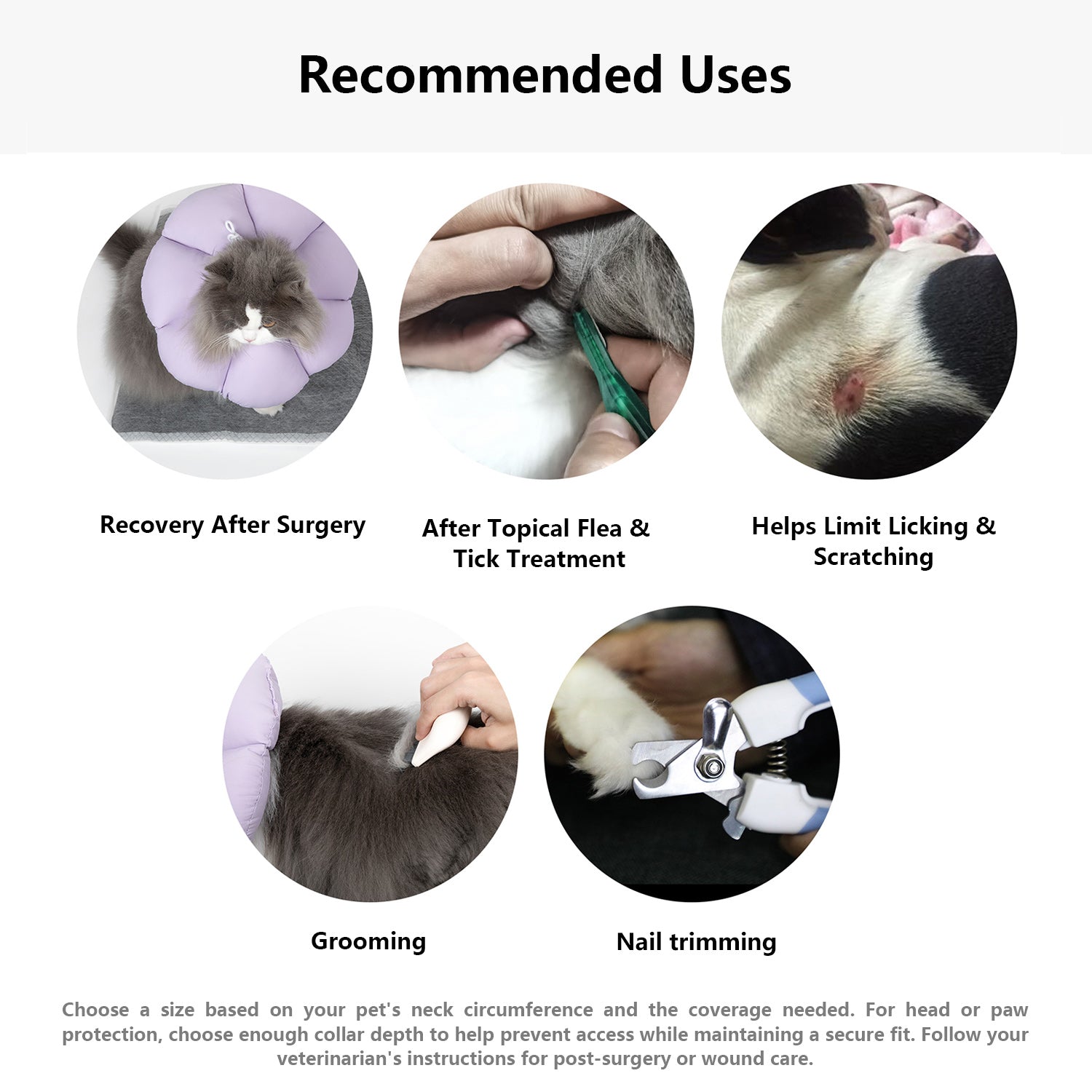 Flower Pet Recovery Collar
