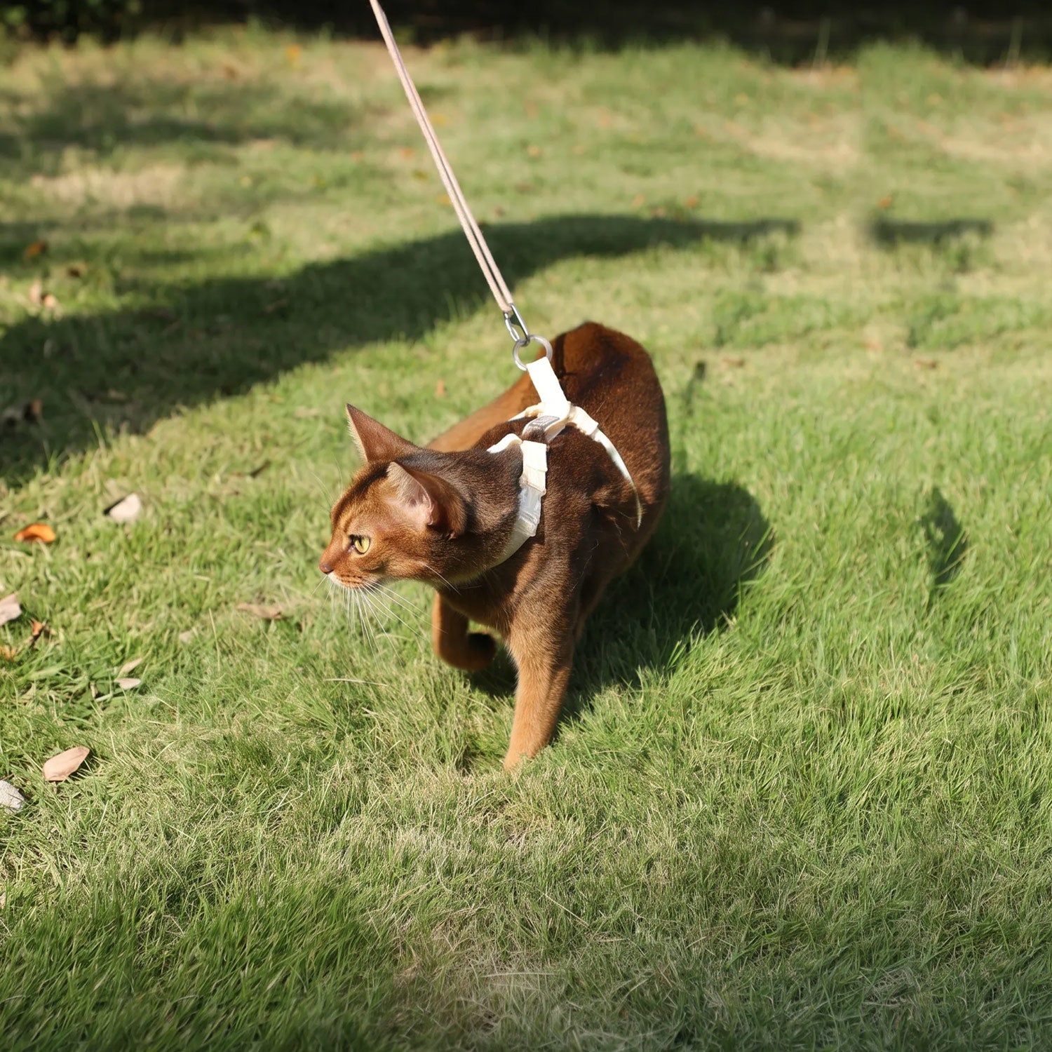 Freedom Cat Harness