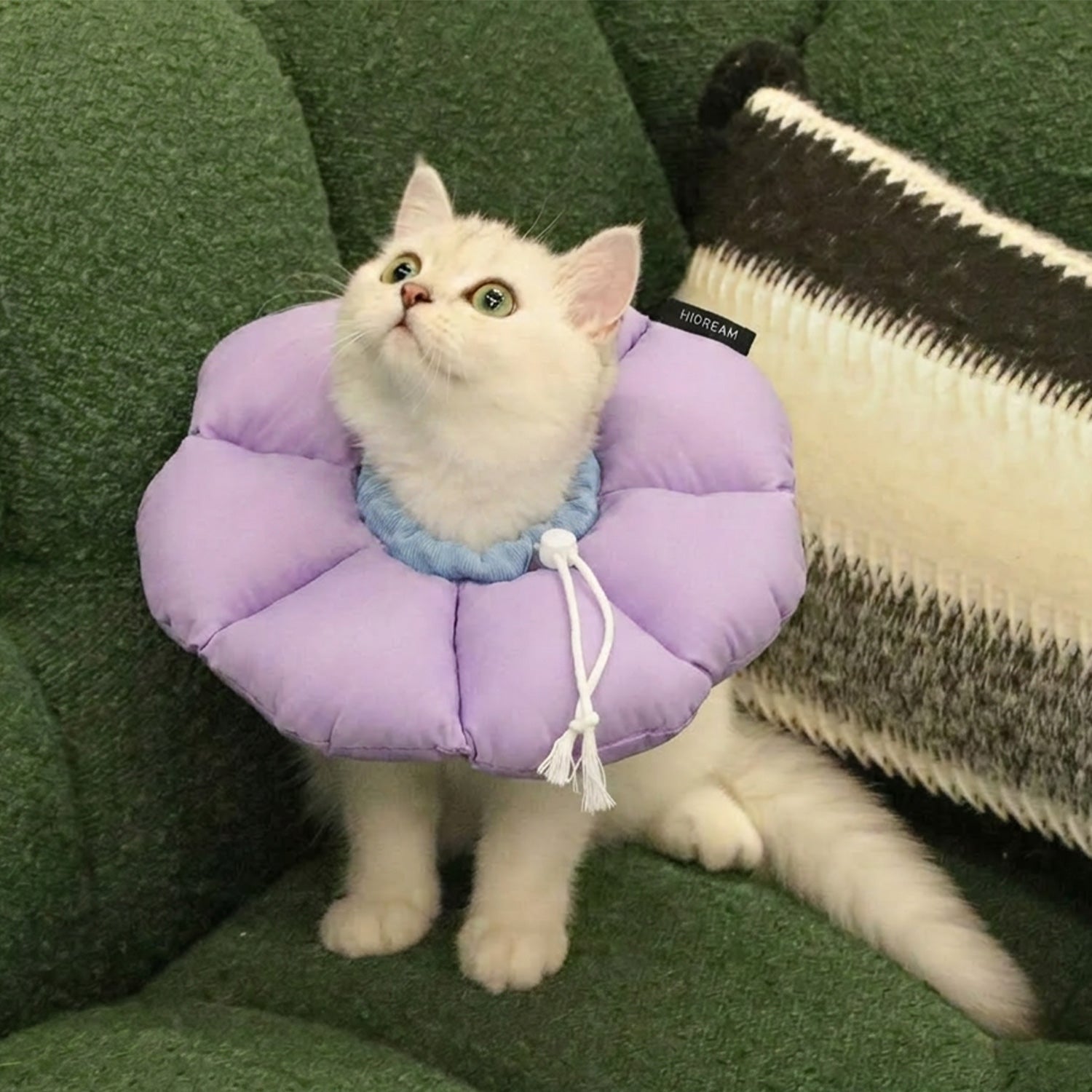 Flower Pet Recovery Collar