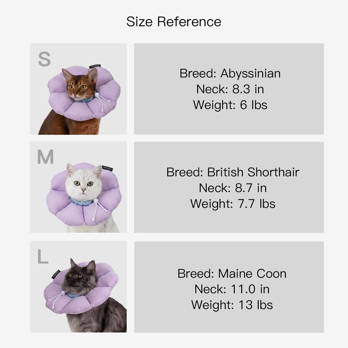 Flower cone for cats fit reference showing different sizes on cats and small dogs