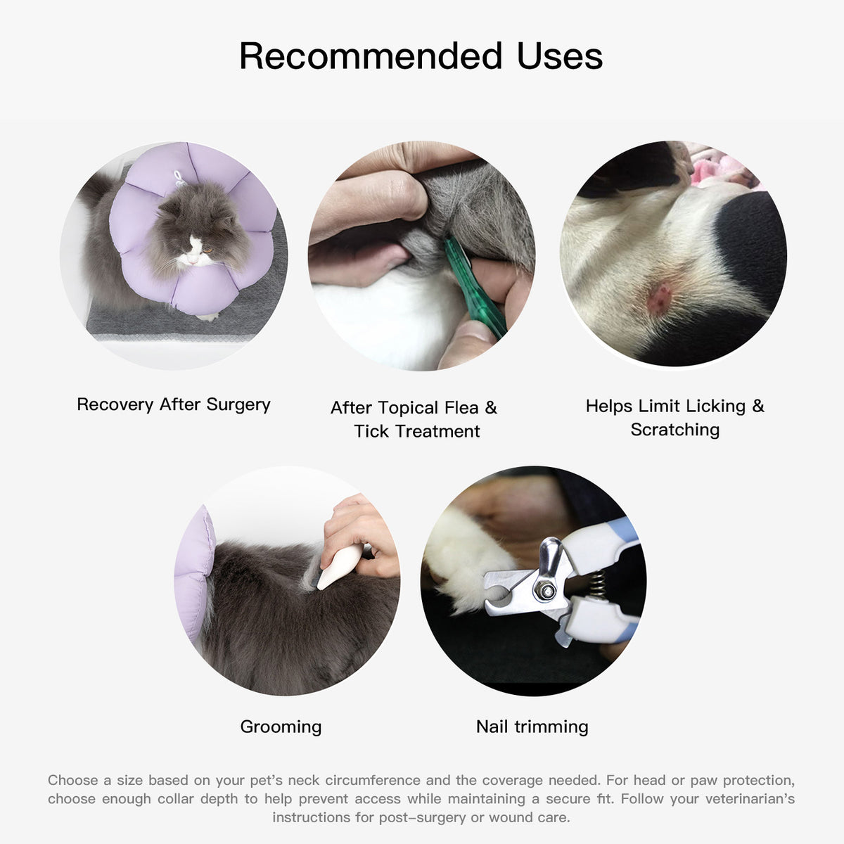 Recommended uses for a flower cone for cats during supervised recovery and everyday comfort