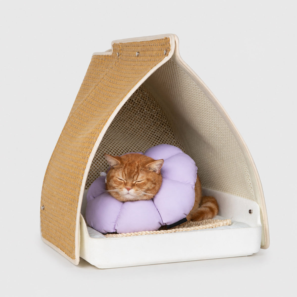 Flower cone for cats designed for more comfortable resting during supervised recovery