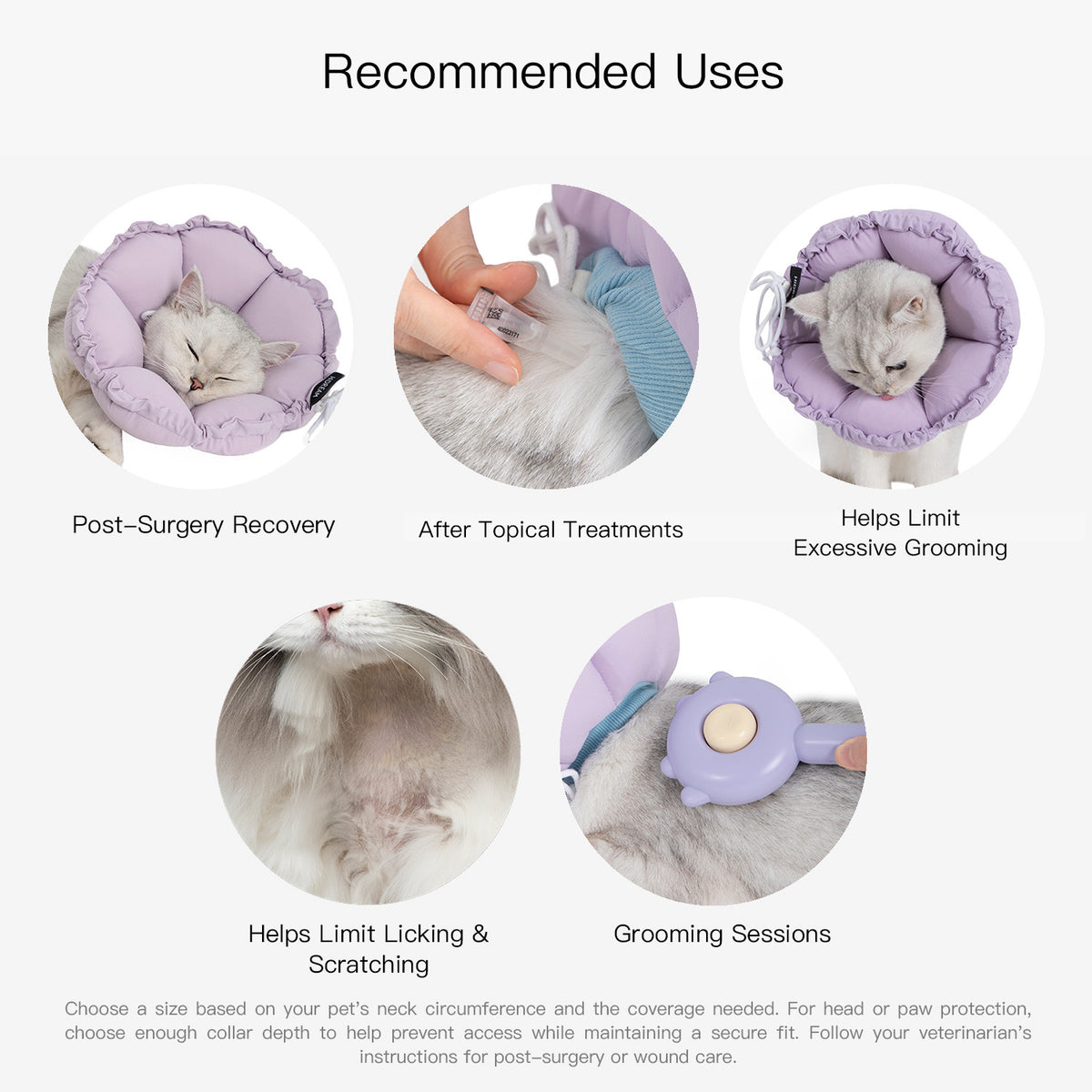 Recommended uses for a pet recovery collar during supervised recovery for cats and dogs