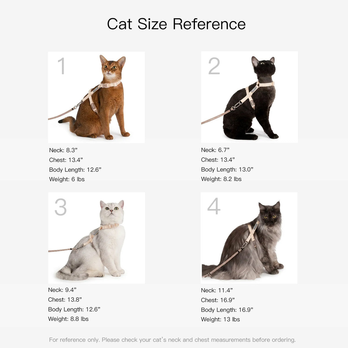 H style cat harness fit reference showing sizing examples on cats of different body sizes