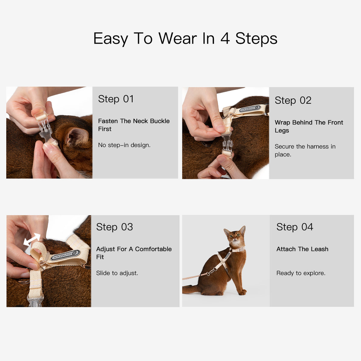 How to put on and adjust an H style cat harness in four simple steps