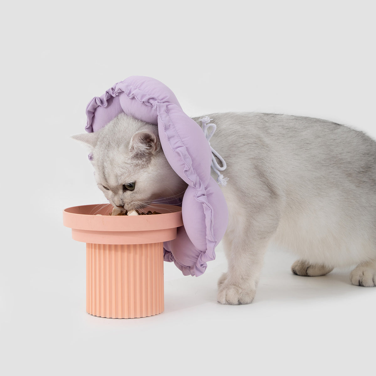 Cat eating comfortably while wearing a soft pet recovery collar