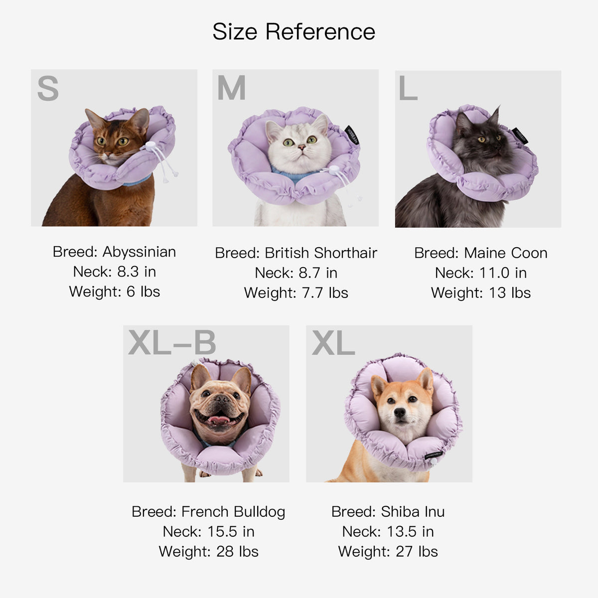 Pet recovery collar fit reference showing different sizes for cats and dogs