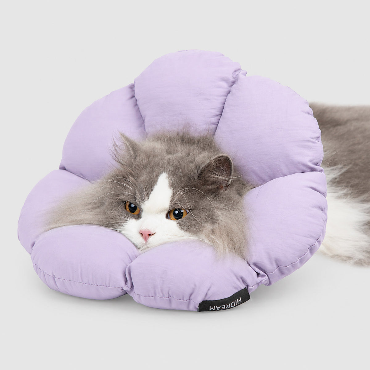 Cat resting comfortably while wearing a soft flower cone